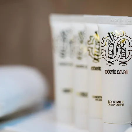 Hotel Amsterdam Plaza & 5*