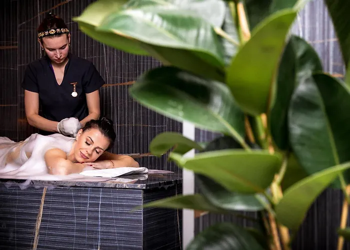 Amsterdam Plaza & 5* Palanga