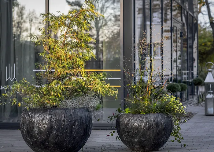 Hotel Amsterdam Plaza & Palanga