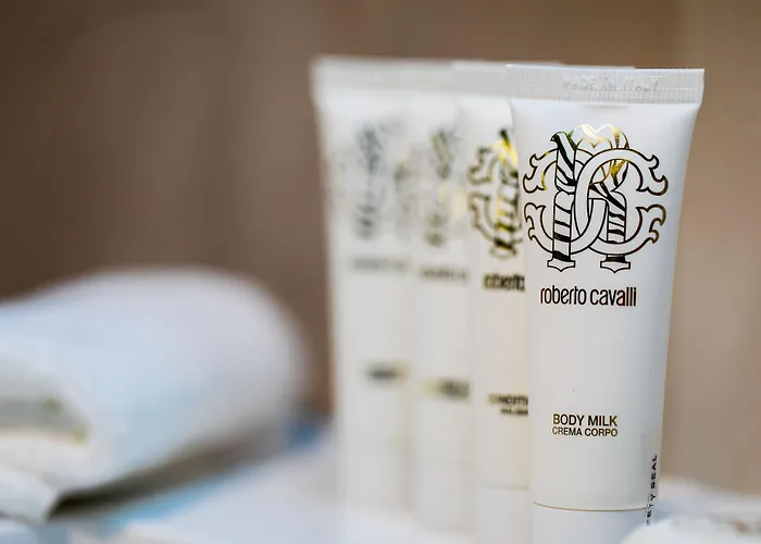 فندق Amsterdam Plaza & 5*