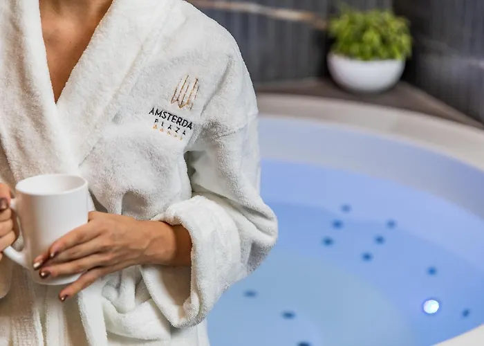 Amsterdam Plaza & Отель Паланга